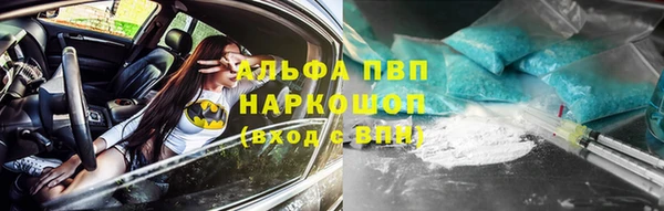 сатива Абаза